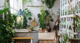 Home garden in boho style. Scandinavian interior design of winter indoor garden with houseplants