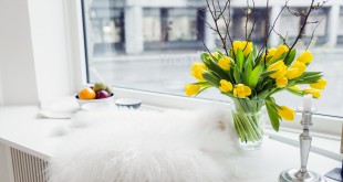 Fur rug and flower vase on window sill