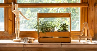 Sunny glass and wooden balcony with potted houseplant.